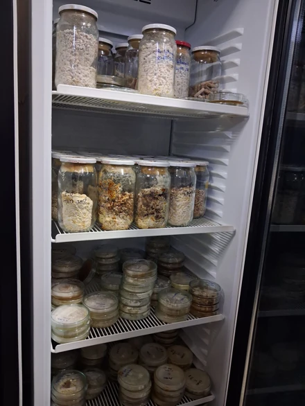 MANTARCILIK UYGULAMA VE ARAŞTIRMA MERKEZİNE TEKNİK GEZİ